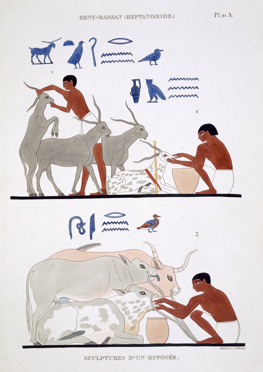 Dierenartswerk, uit een zeldzaam verslag van fresco