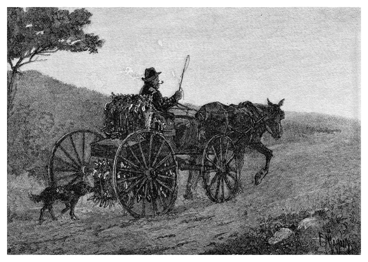 Een Colac-konijnenjager, 1886 door Frederic B. Schell