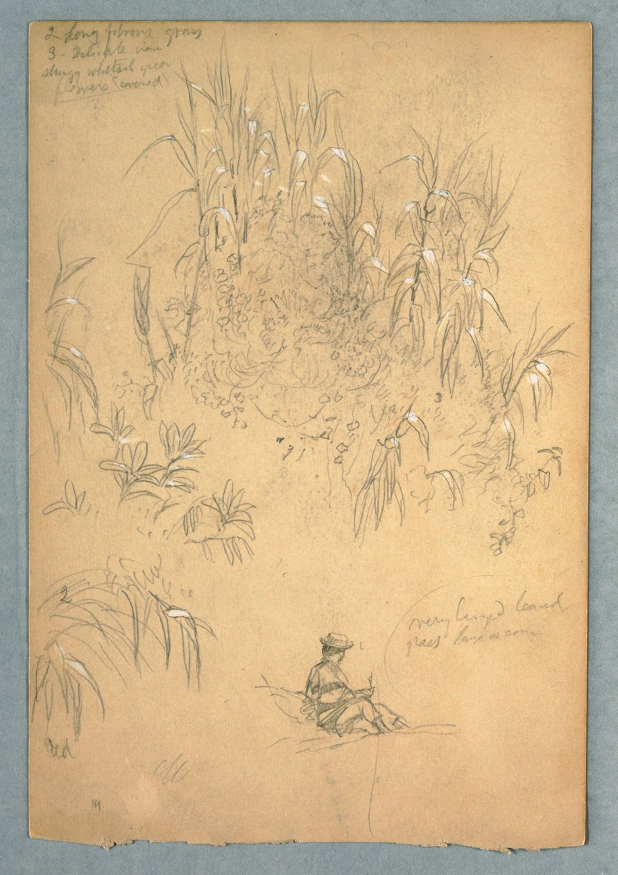 Een Gedetailleerde Studie van een Zittende Man en een Groep Planten, Ecuador door Frederic Edwin Church