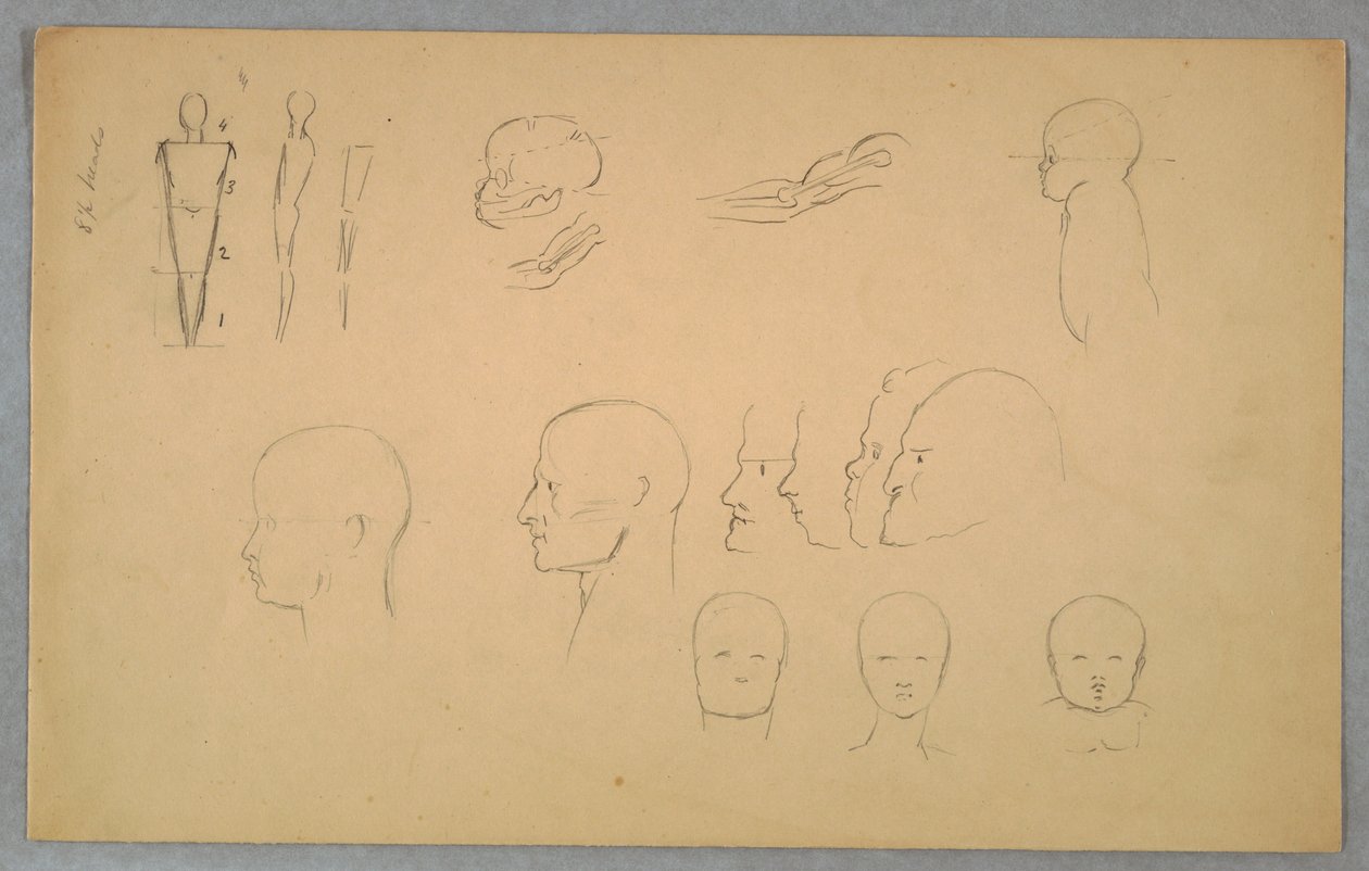 Anatomische studies door Frederic Edwin Church