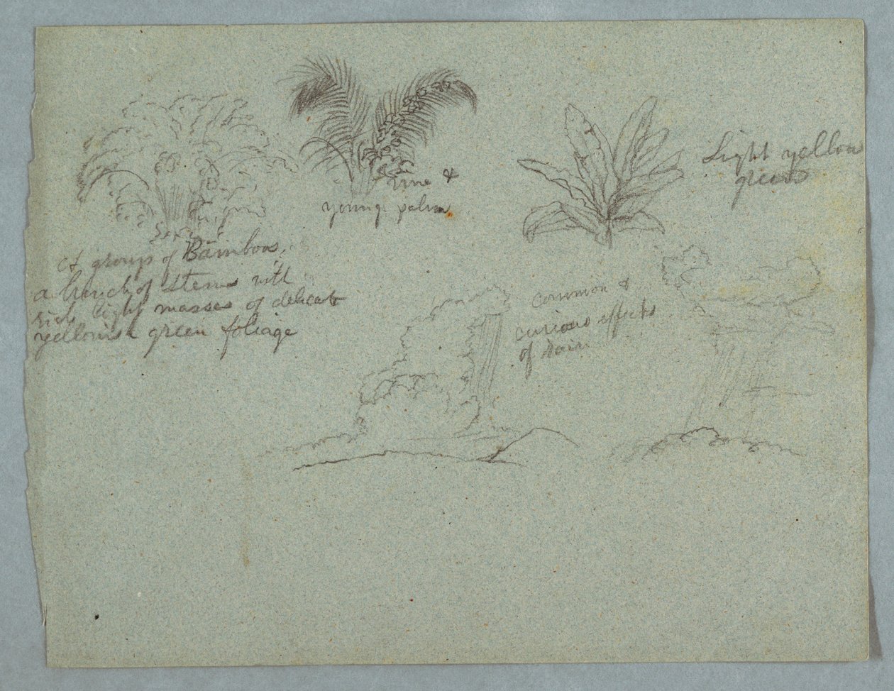 Bamboes, Wijnstok en een Jonge Palm, Plant, en Twee Scènes van Regen die uit Wolken over Bergen valt, Rio Magdalena, Colombia door Frederic Edwin Church