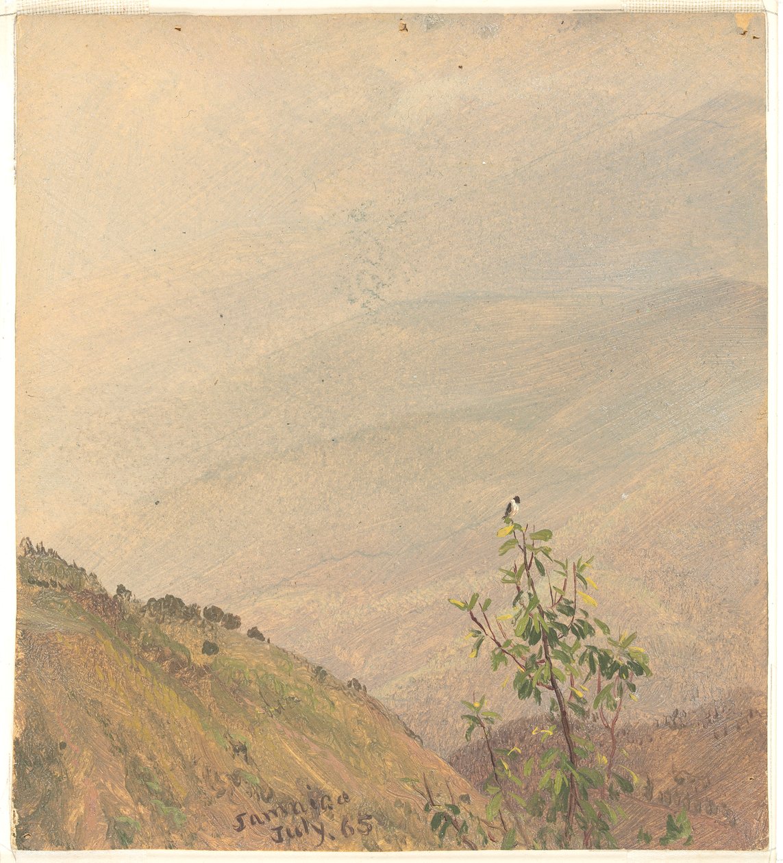 Verre heuvels, Jamaica door Frederic Edwin Church