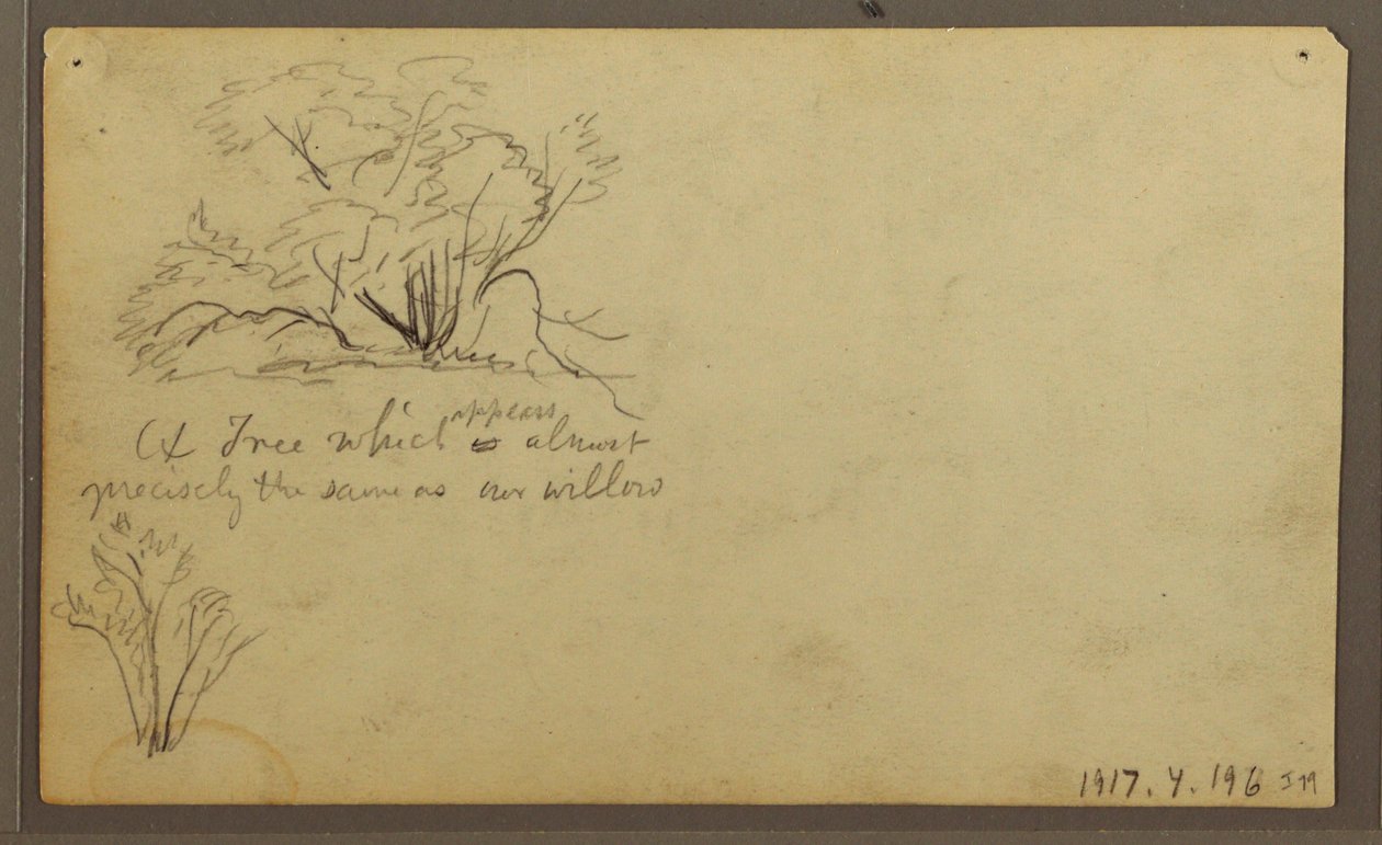 Tekening, Een hut op palen, Guayaquil, Ecuador, mei 1857 door Frederic Edwin Church