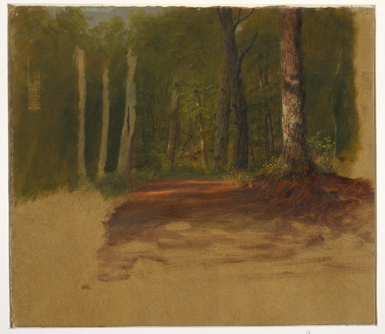 Tekening, Een weg naar het bos, 1850-60 door Frederic Edwin Church