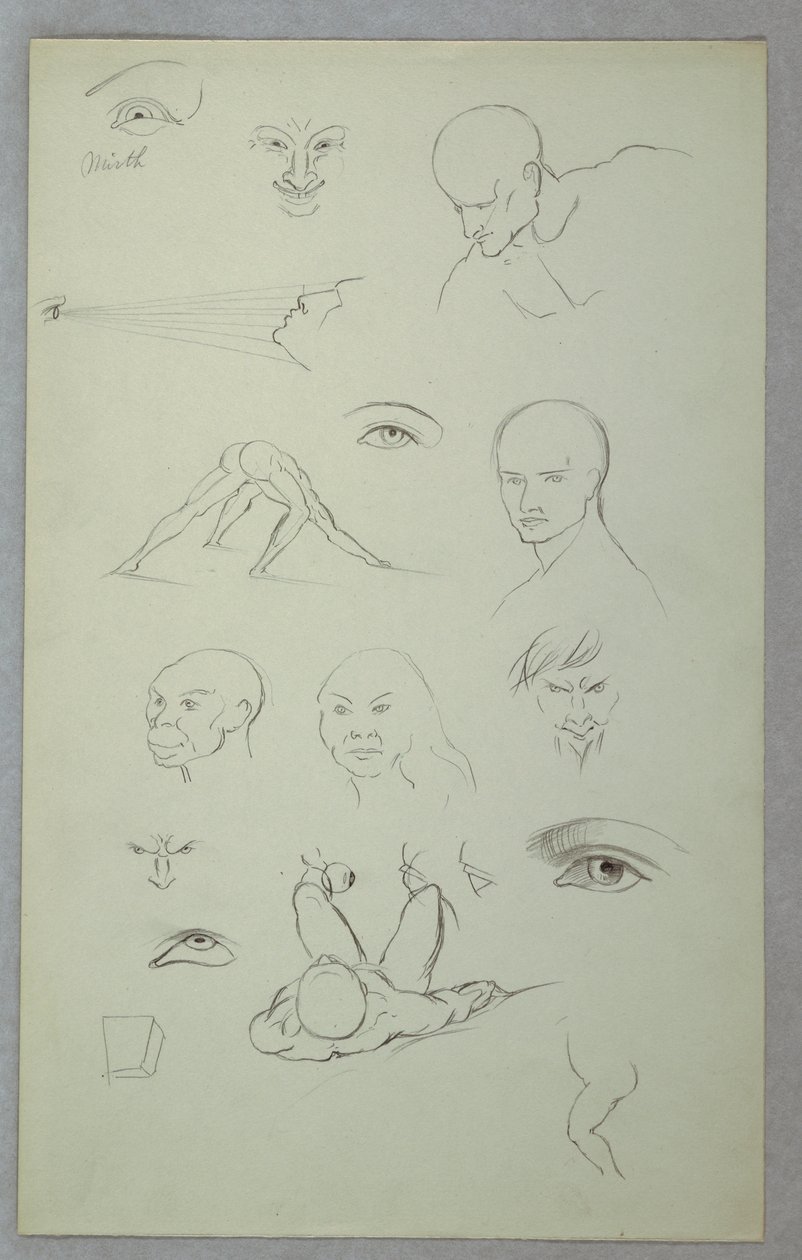 Tekening, Anatomische studies, 1865-70 door Frederic Edwin Church