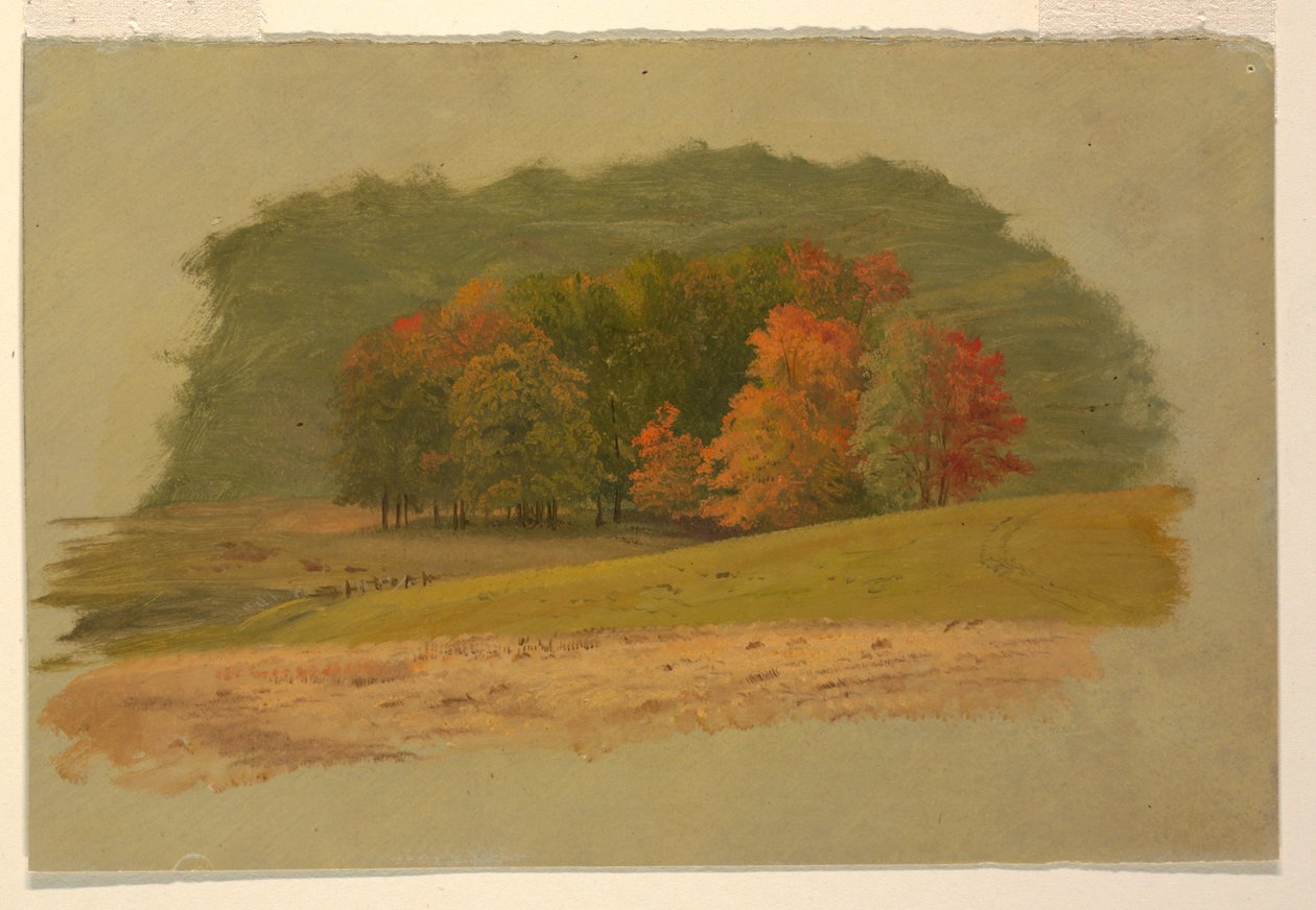 Tekening, Herfstlandschap, 1860-70 door Frederic Edwin Church