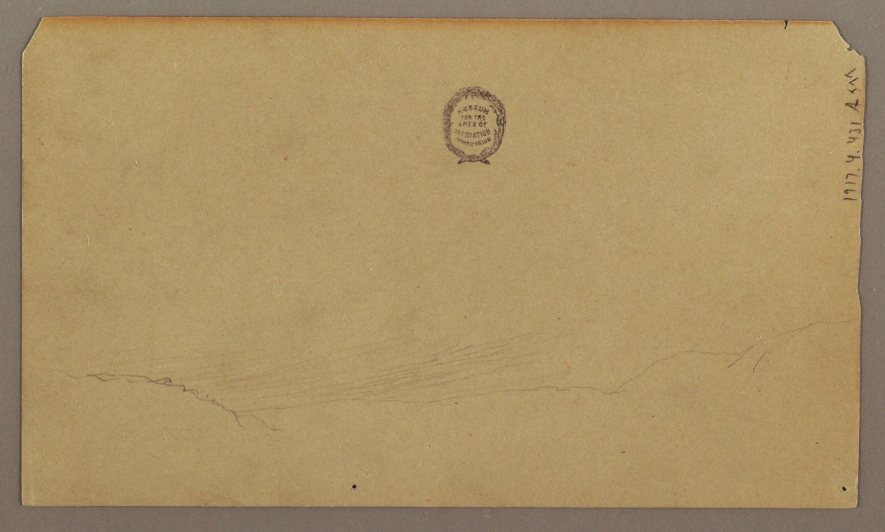 Tekening, Botanische schetsen, augustus 1865 door Frederic Edwin Church