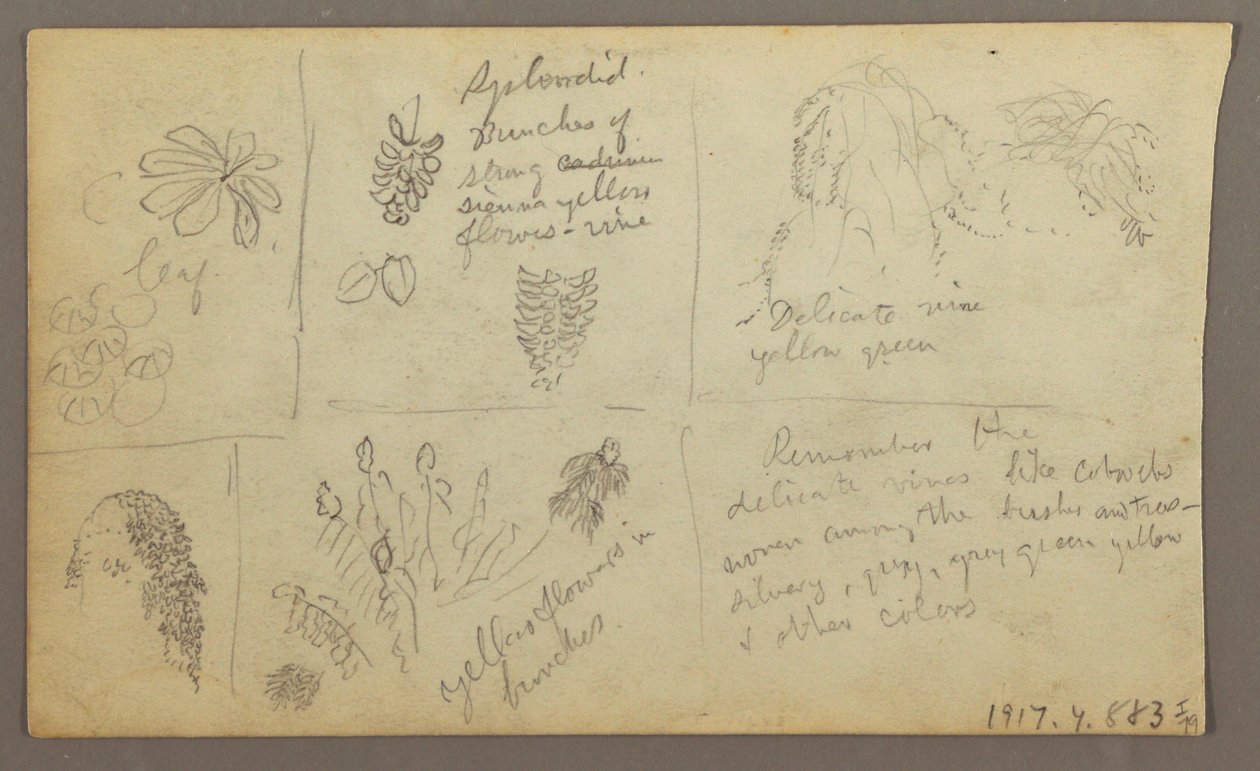 Tekening, Botanische Schetsen, Ecuador, of Colombia; Verso: Botanische Schetsen, 1857 door Frederic Edwin Church