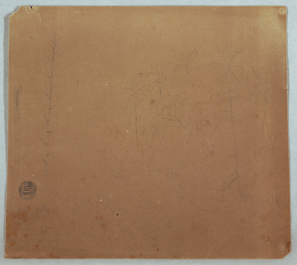 Tekening, Botanische Schetsen, Mogelijk Bamboes, Palmen en Struiken, Ecuador of Colombia, 1853 of 1857 door Frederic Edwin Church