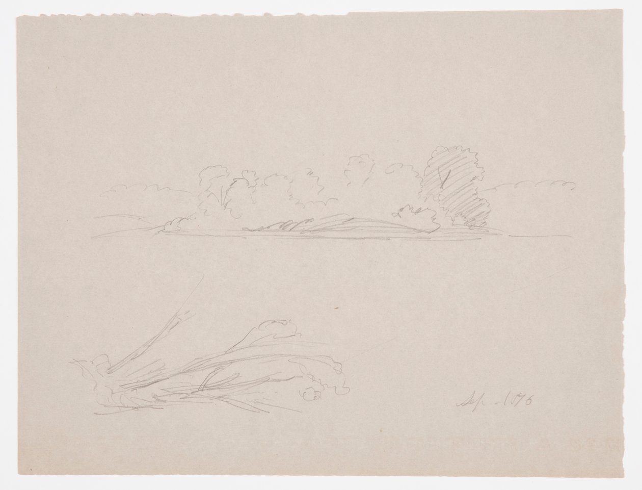 Tekening, Botanische schetsen: landschap, bomen aan een oever, september 1876 door Frederic Edwin Church