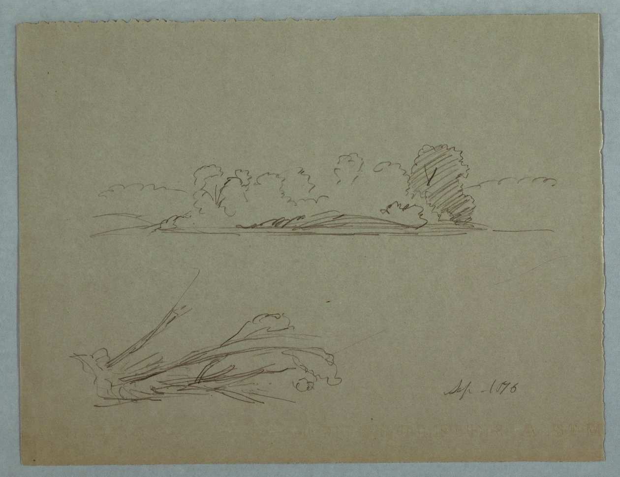 Tekening, Botanische schetsen: landschap, bomen aan een oever, september 1876 door Frederic Edwin Church