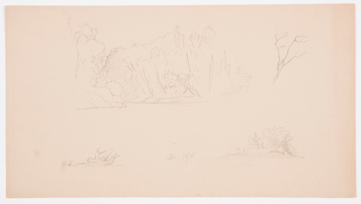 Tekening, Botanische schetsen: boom, bomen aan oever, september 1876 door Frederic Edwin Church