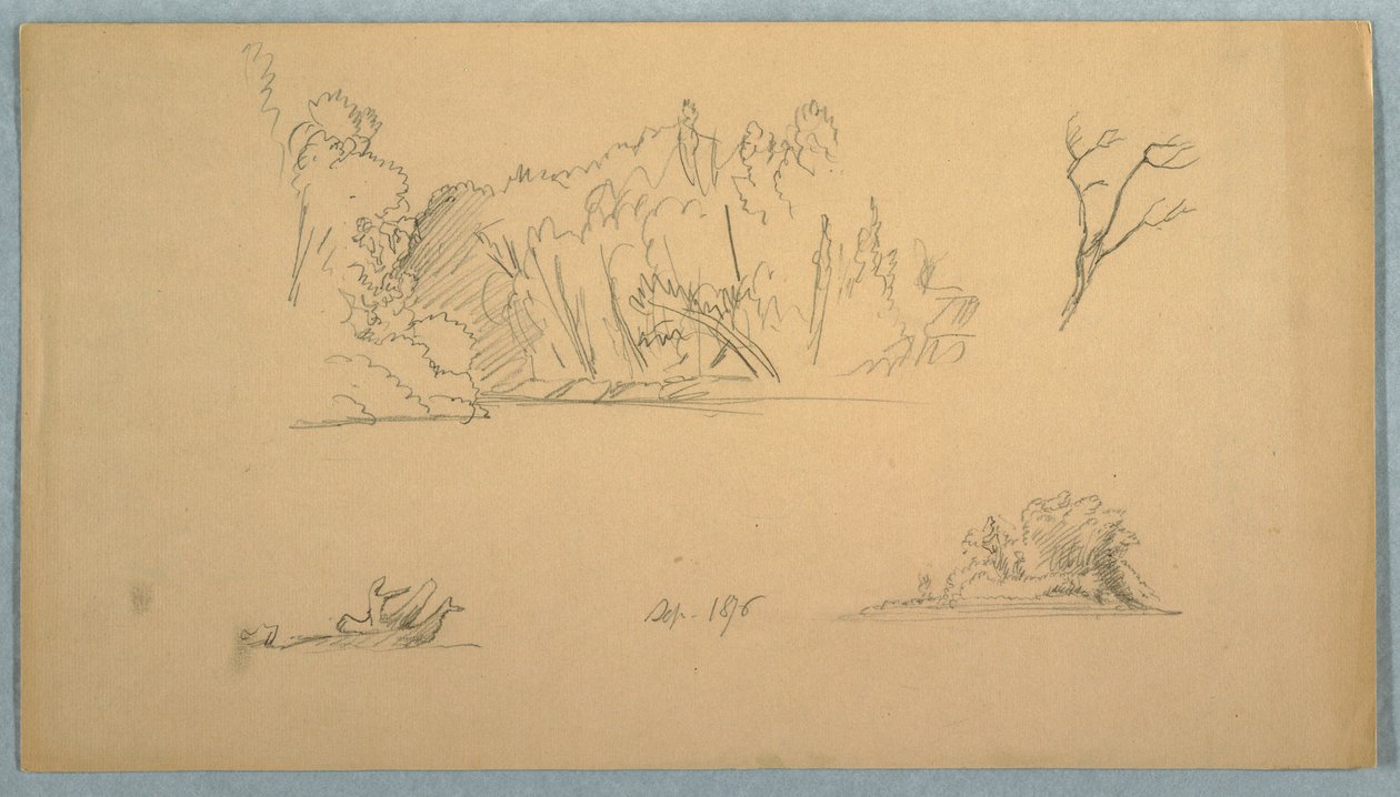 Tekening, Botanische schetsen: boom, bomen aan oever, september 1876 door Frederic Edwin Church