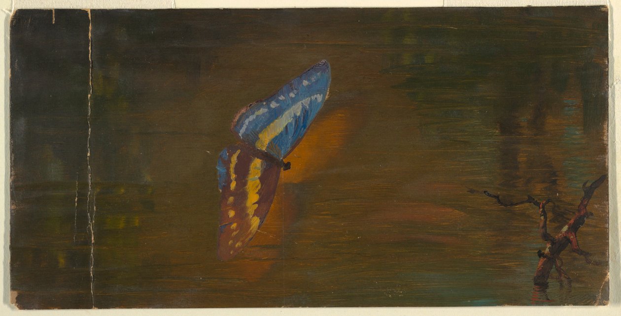 Tekening, Vlinder boven water, ca. 1865 door Frederic Edwin Church