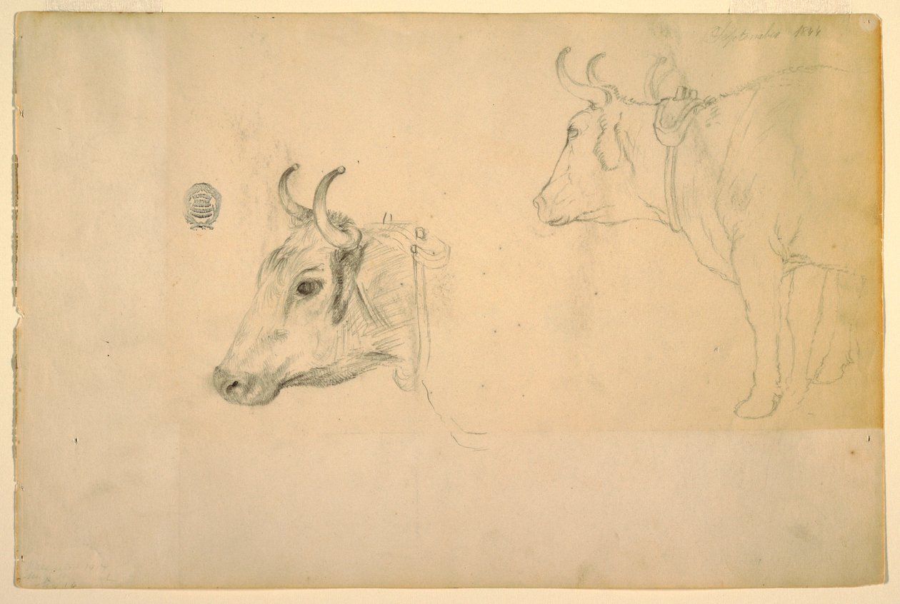 Tekening, Vee, september 1844 door Frederic Edwin Church