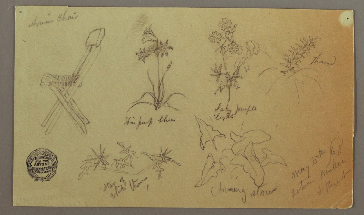 Tekening, Stoel- en Plantenstudies, 15 mei 1868 door Frederic Edwin Church