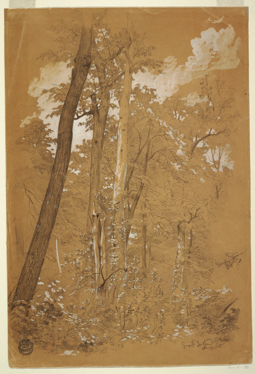 Tekening, Kastanjebomen op Goat Island, Niagara River, New York, augustus 1858 door Frederic Edwin Church