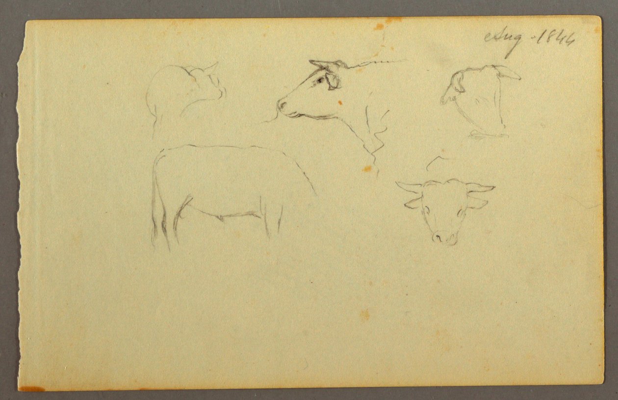 Tekening, Koeien, 1844 door Frederic Edwin Church
