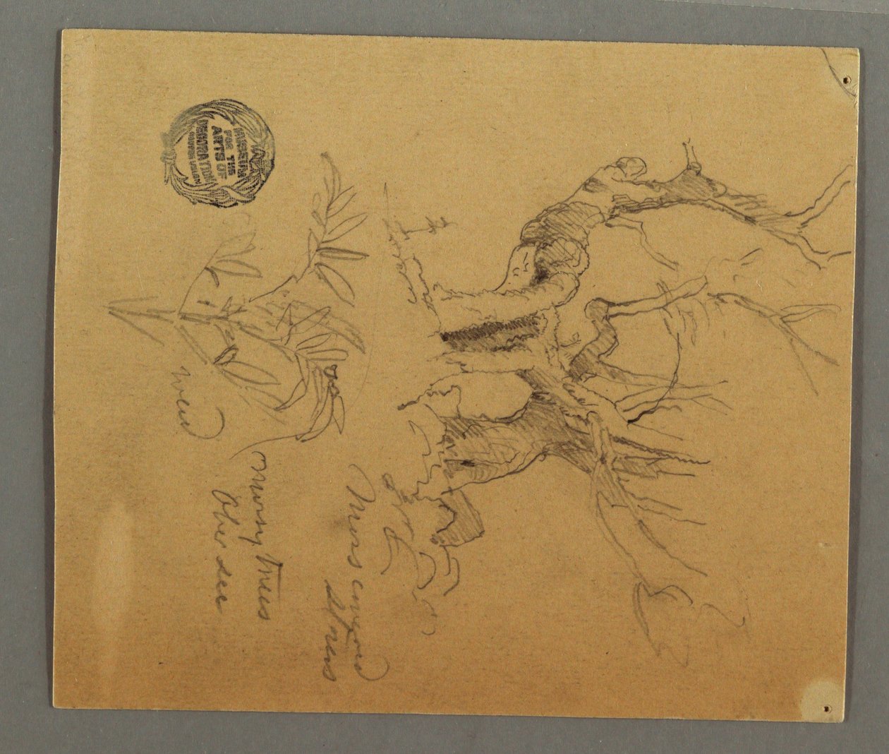 Tekening, Dode bomen, plant, mogelijk 1868 door Frederic Edwin Church