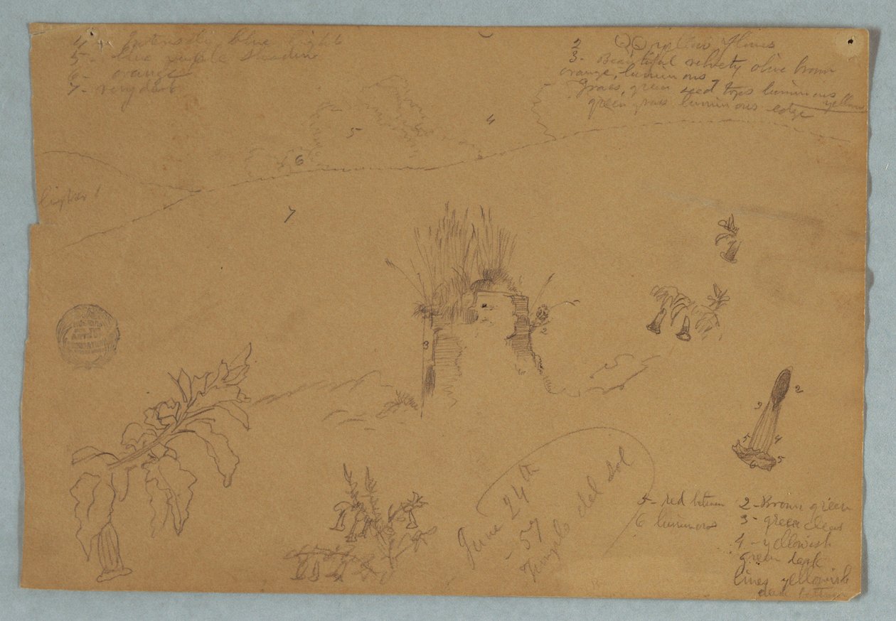 Tekening, Tekening.  Botanische en wolkenschetsen bij Quito, Ecuador, 24 juni 1857 door Frederic Edwin Church