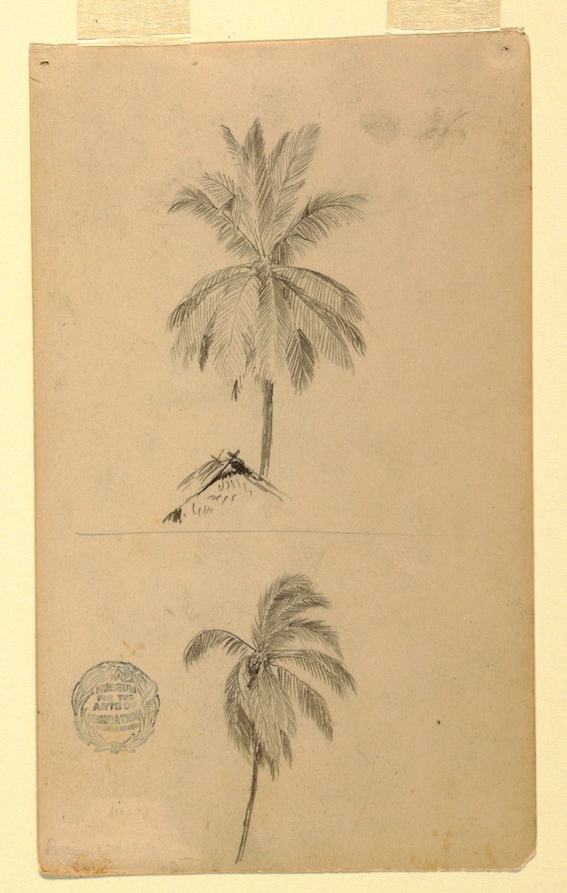 Tekening, Tekeningen.  Twee schetsen.  Palmen, 1857 door Frederic Edwin Church