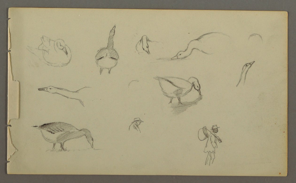 Tekening, Acht studies van eenden, twee figuurstuides, mogelijk 1857-58 door Frederic Edwin Church