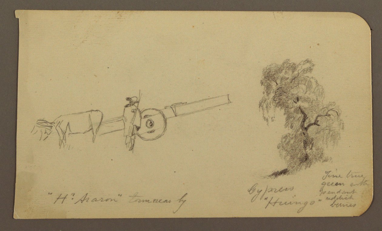Tekening, Figuur en ossenkar, Cypresboom; Verso: Uitzicht over het Cuitzeomeer, januari 1885 door Frederic Edwin Church
