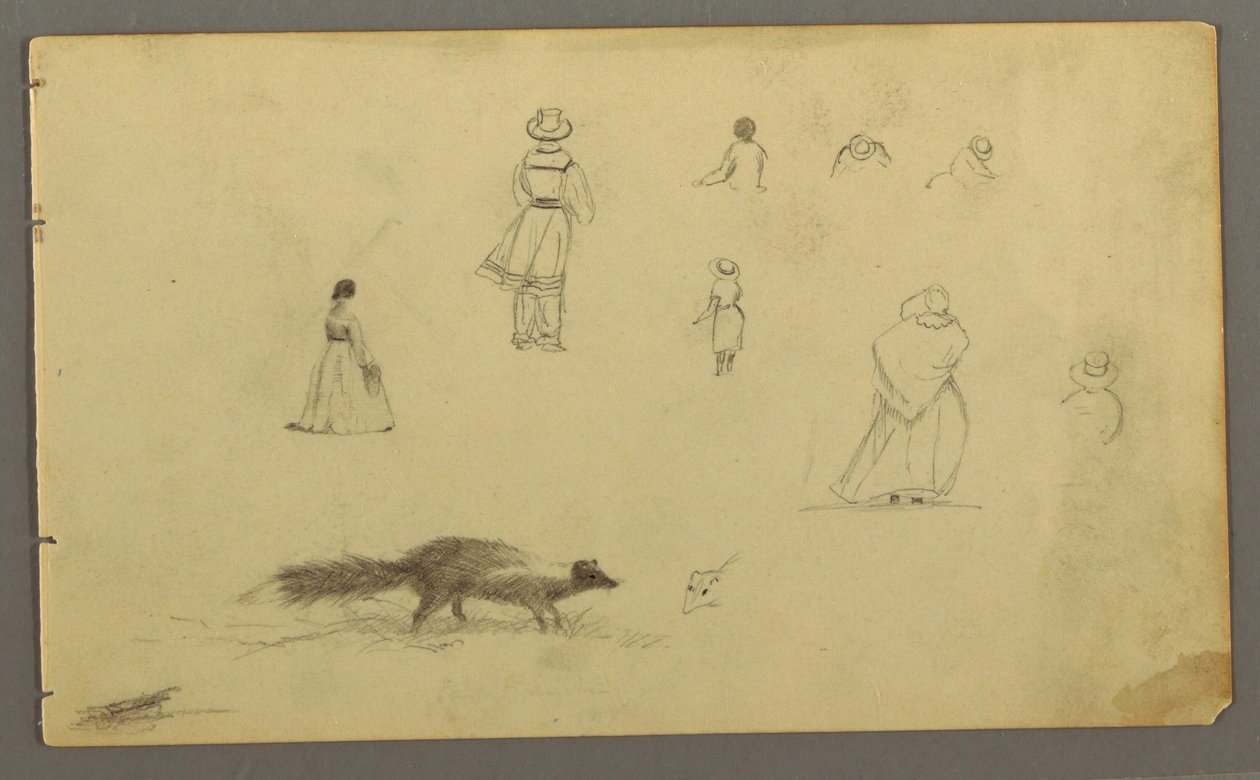 Tekening, Figuurstudies op de rug, een stinkdier, mogelijk 1857-58 door Frederic Edwin Church