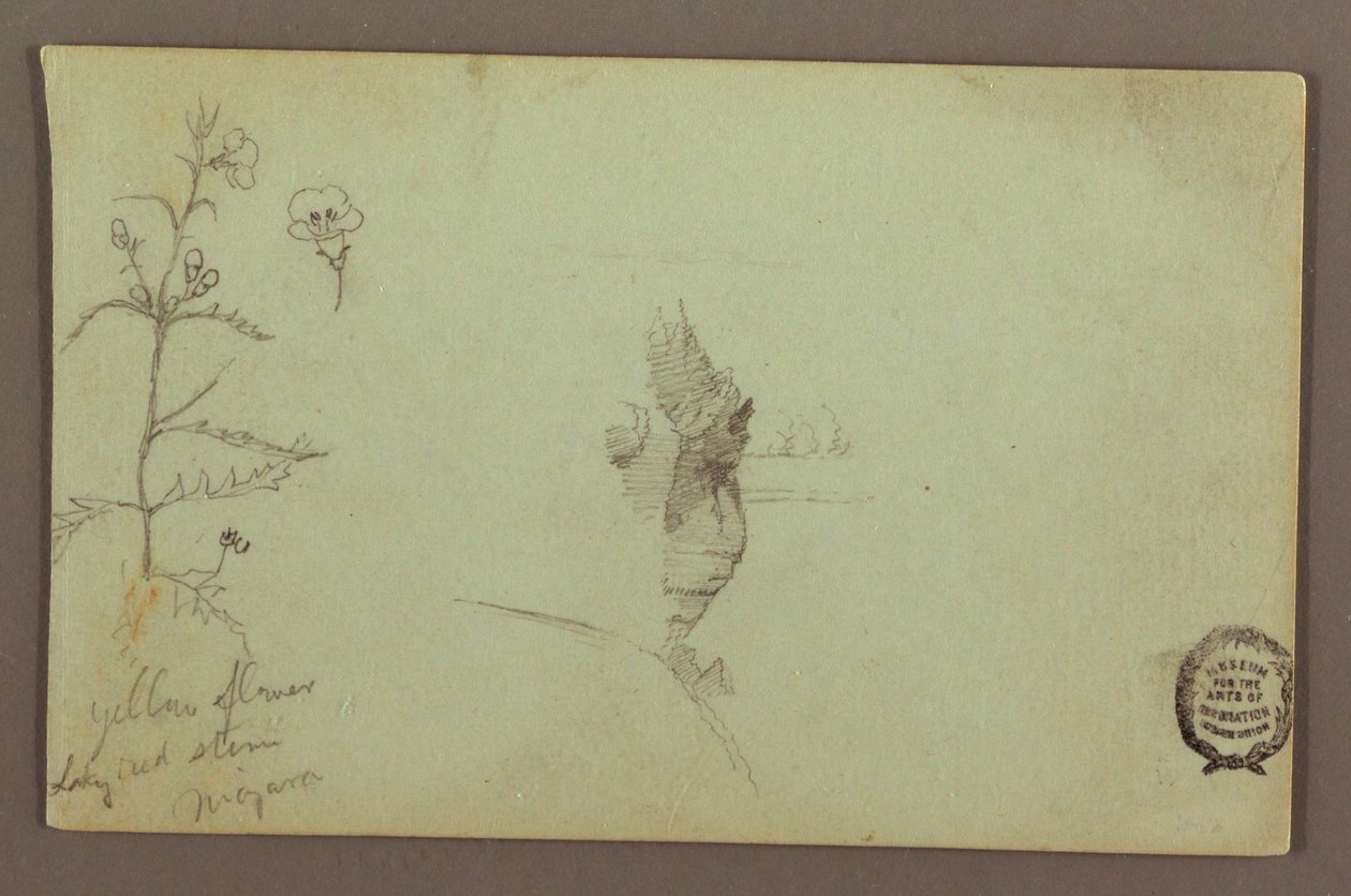 Tekening, Bloeiende plant en een rots tussen de Amerikaanse en Canadese watervallen bij Niagara, mogelijk 1858 door Frederic Edwin Church