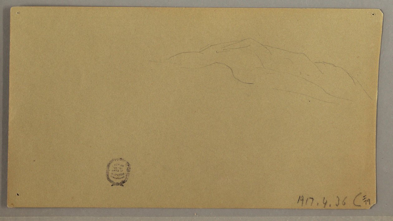 Tekening, Bloeiende planten, ca. 1856 door Frederic Edwin Church