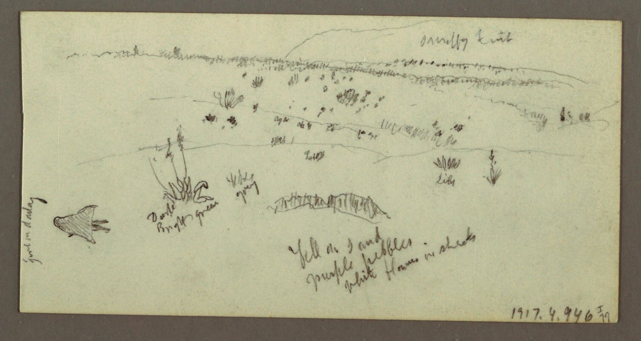 Tekening, Heuvel, Bosjes, Figuur, Kamelenstudies, mogelijk 1868 door Frederic Edwin Church