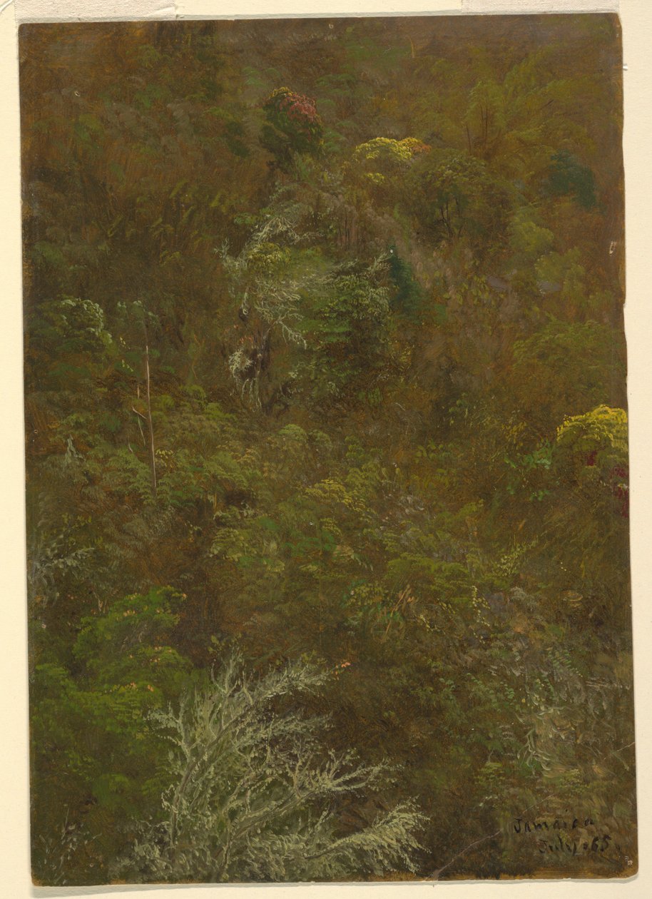 Tekening, Heuvel bedekt met struiken amp; bomen, juli 1865 door Frederic Edwin Church