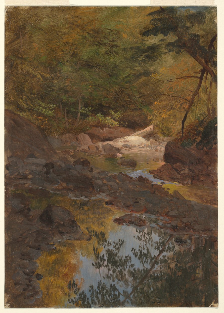 Tekening, In de bossen van New England, 1855-65 door Frederic Edwin Church