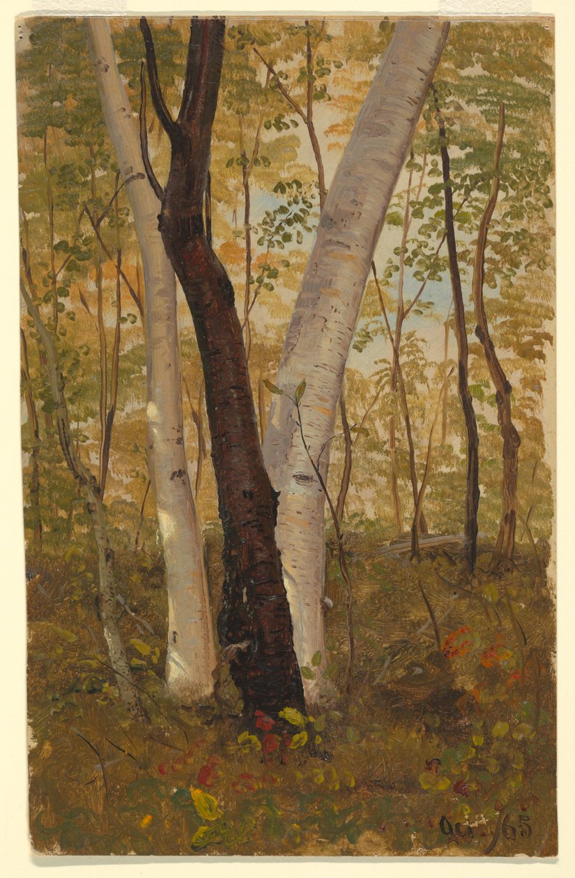 Tekening, In het bos, Hudson, New York, oktober 1865 door Frederic Edwin Church