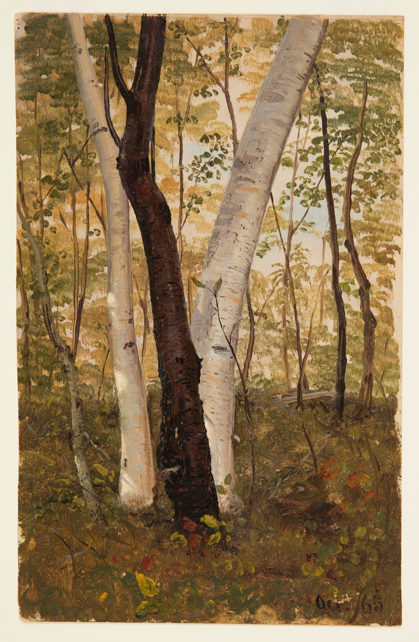 Tekening, In het bos, Hudson, New York, oktober 1865 door Frederic Edwin Church