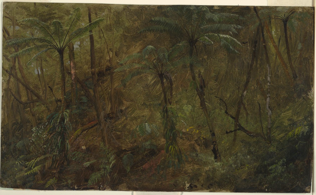 Tekening, In de bossen van Jamacia, West-Indië, 1865 door Frederic Edwin Church