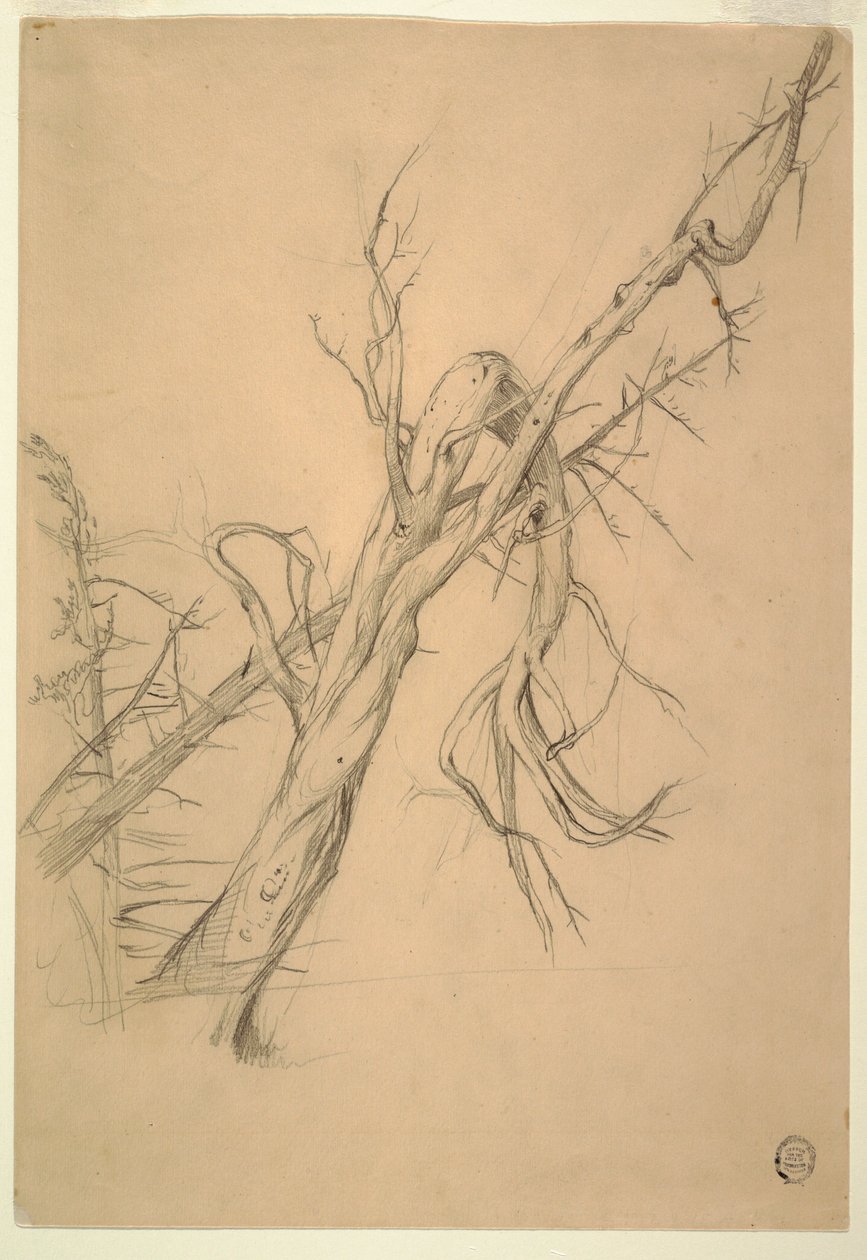 Tekening, indianenkampement, Grand Manan, baai van Fundy, september 1851 door Frederic Edwin Church