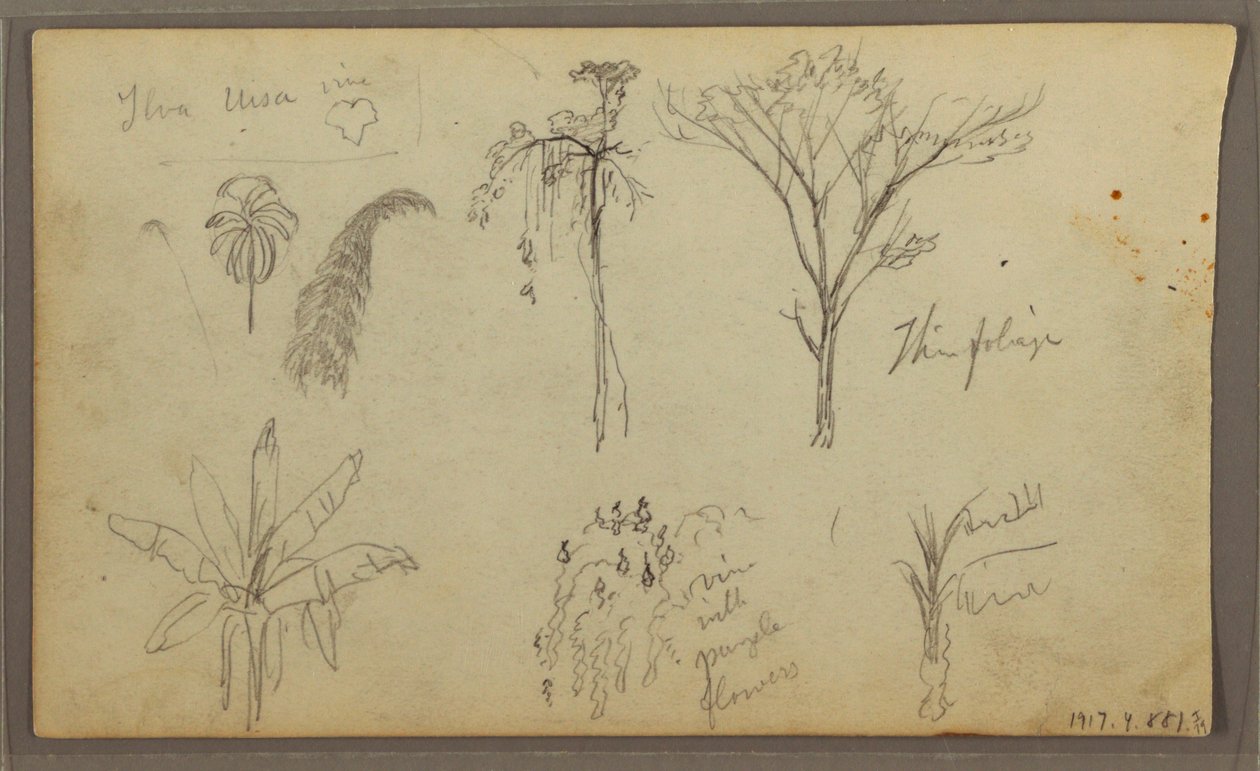 Tekening, Landschap, Guayaquil, Ecuador, 21 mei 1857 door Frederic Edwin Church