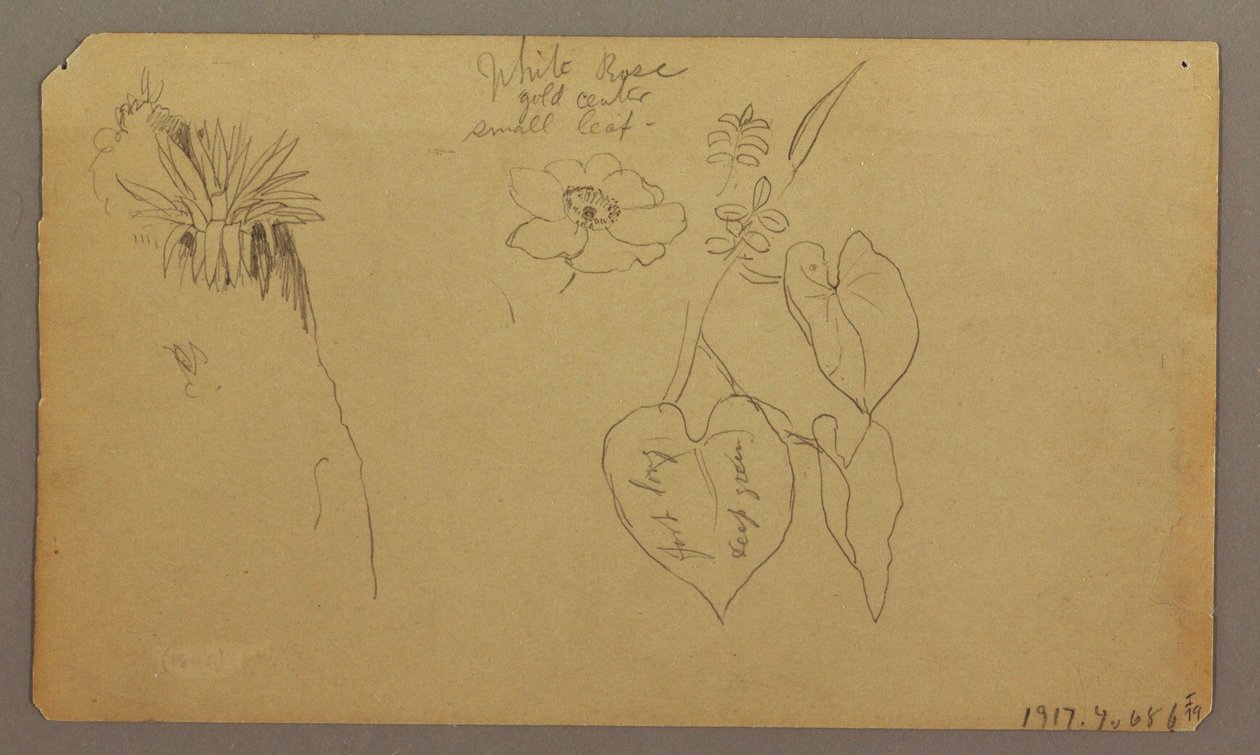 Tekening, Landschap; Verso: Botanische schetsen, 1865 door Frederic Edwin Church