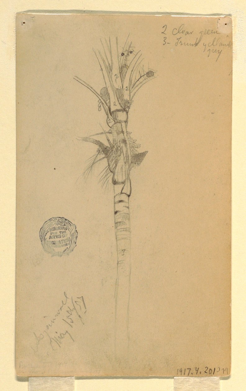 Tekening, bladeren en stam van een palmboom, Aspinwall, Panama, 15 mei 1857 door Frederic Edwin Church