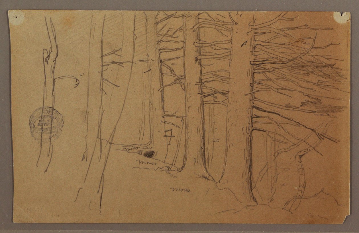 Tekening, onderste delen van een groep bomen op een helling, 1862 door Frederic Edwin Church