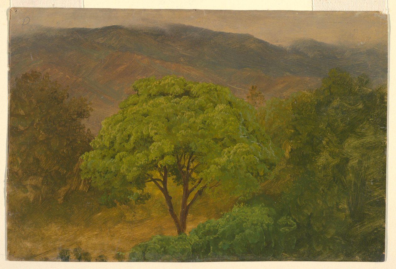 Tekening, Berglandschap, augustus 1865 door Frederic Edwin Church