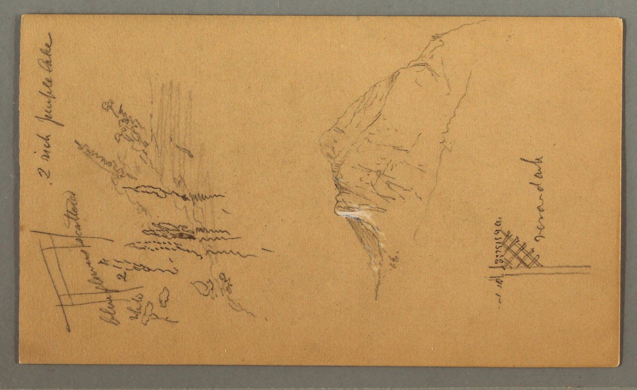 Tekening, Bergtop, vegetatie bij plas, 1868 door Frederic Edwin Church