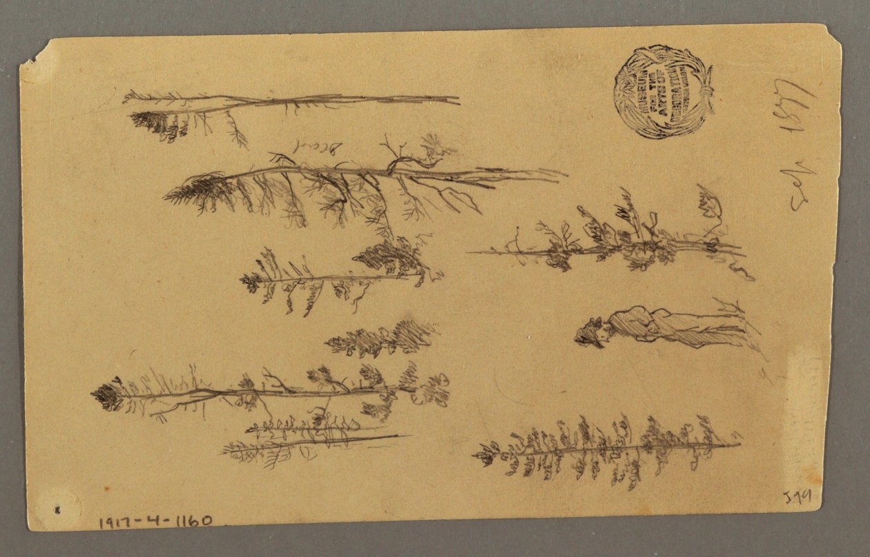 Tekening, Bergtop, 1877 door Frederic Edwin Church