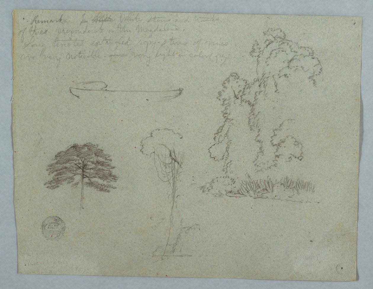 Tekening, Natuurstudies van de Rio Magdalena, Colombia:  Bomen, wijnranken en een kano, mei 1853 door Frederic Edwin Church