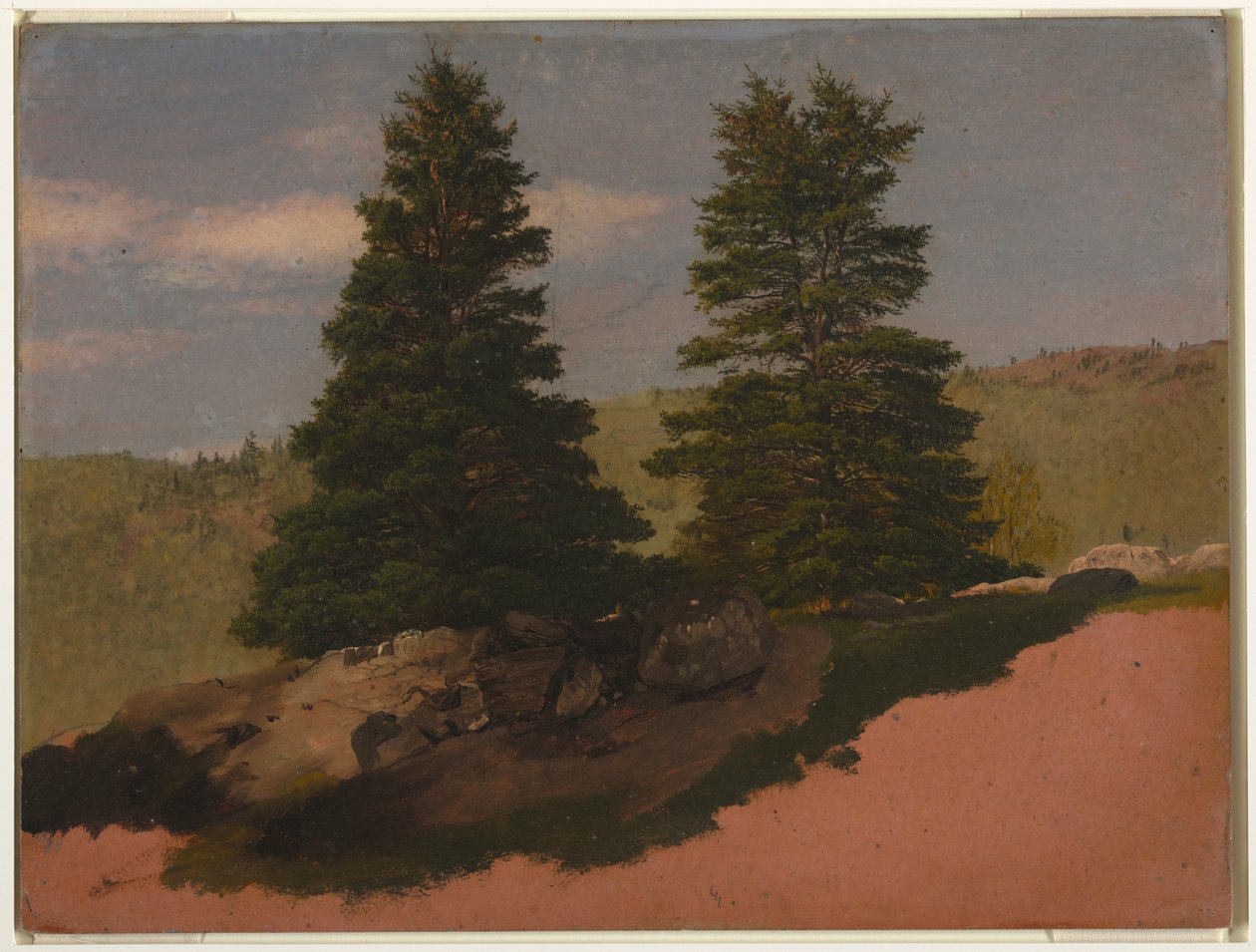 Tekening, Landschap in New England (Twee pijnbomen), 1850 door Frederic Edwin Church