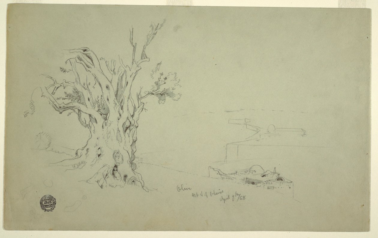 Tekening, Olijfboom, Olijfberg, april 1868 door Frederic Edwin Church