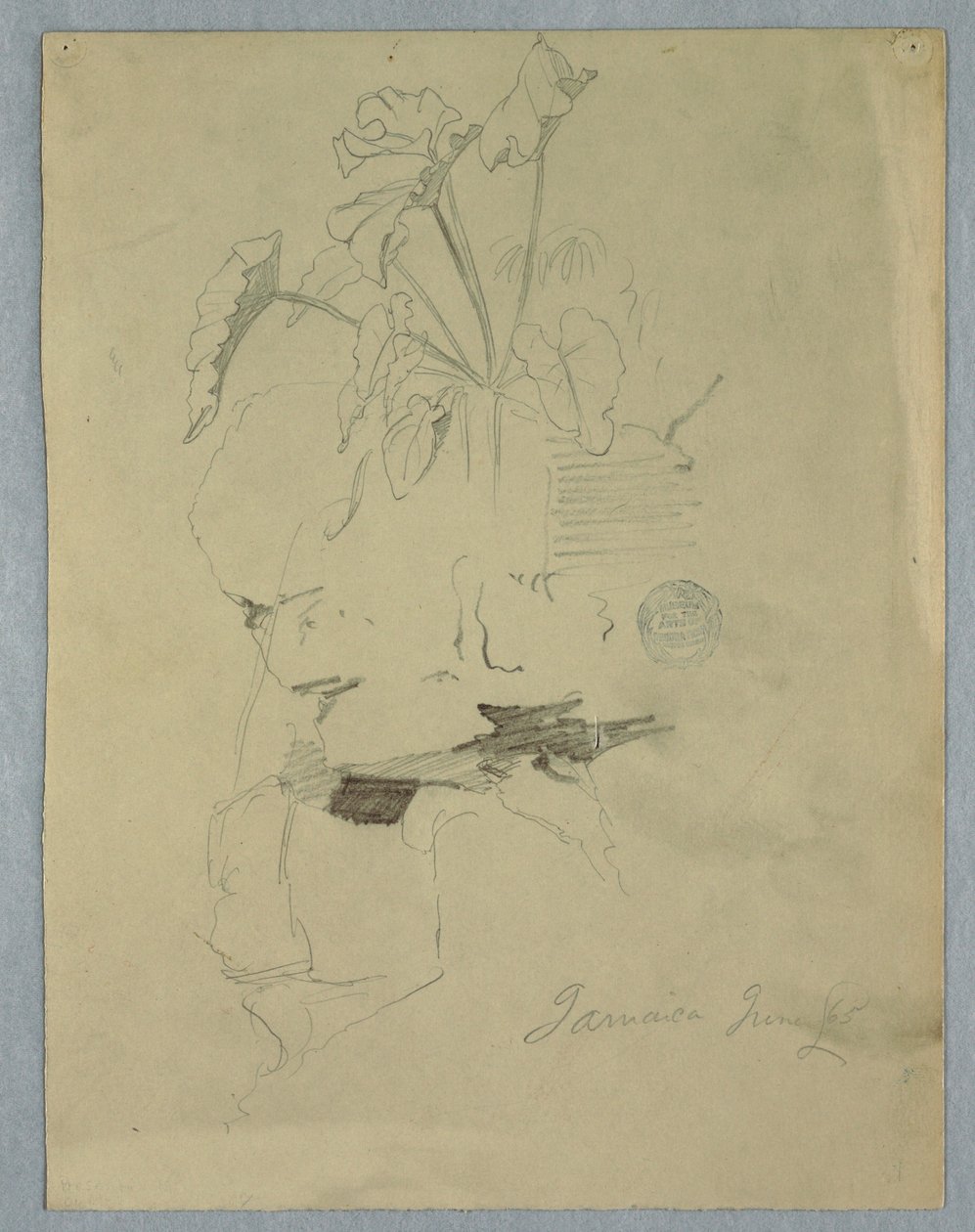 Tekening, Philodendrum [] Groeiend boven een rots, Jamaica, juni 1865 door Frederic Edwin Church