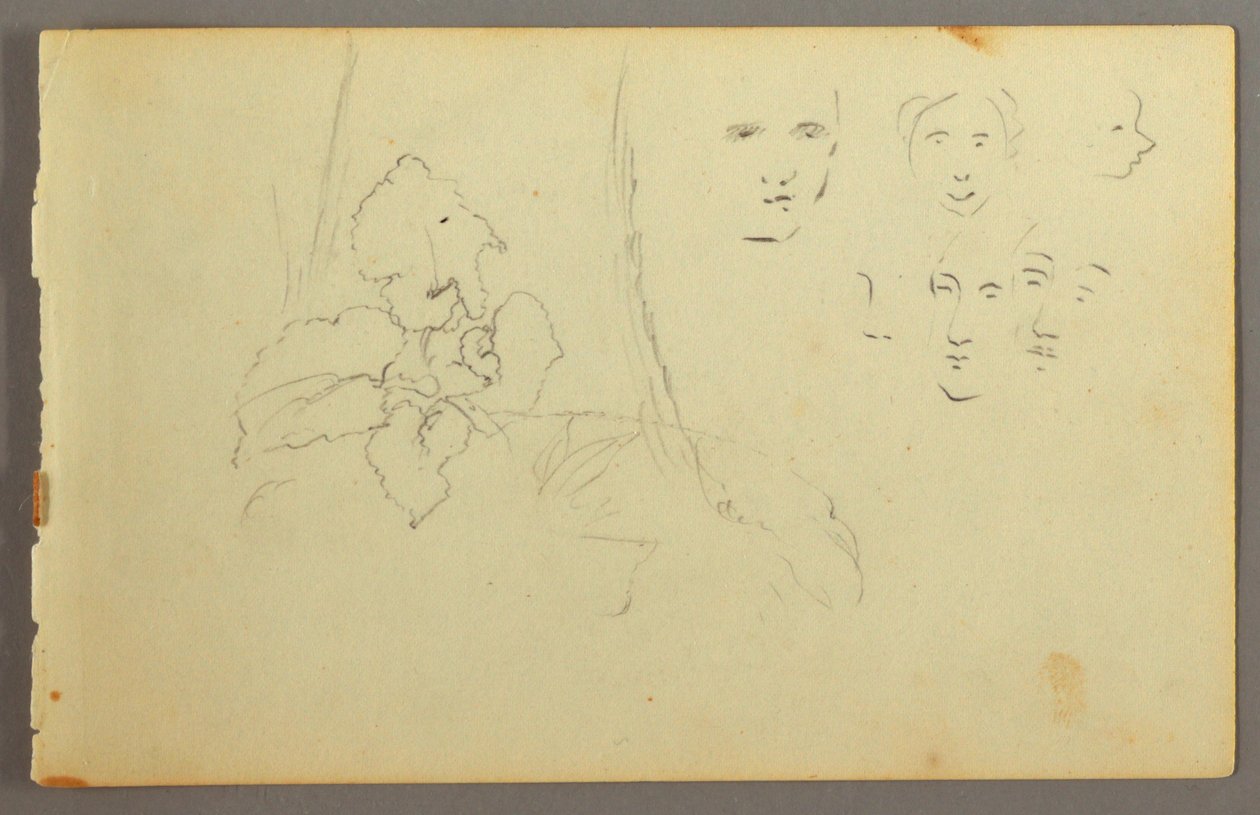 Tekening, Plantenstudie, gezichten, mogelijk 1844 door Frederic Edwin Church