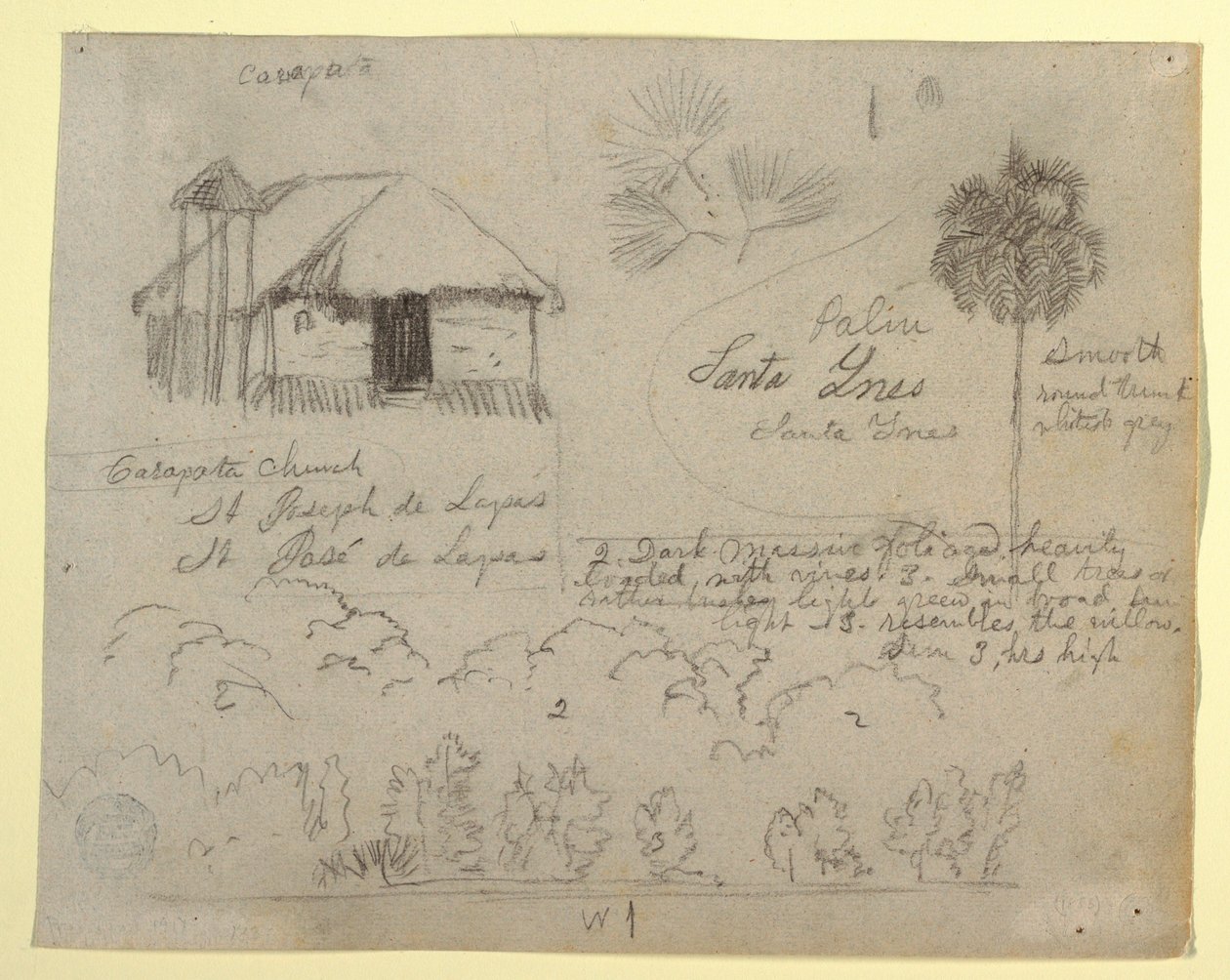 Tekening, San Jose de Lapas kerk, Carapata en botanische studies, waarschijnlijk Colombia, 1853 door Frederic Edwin Church